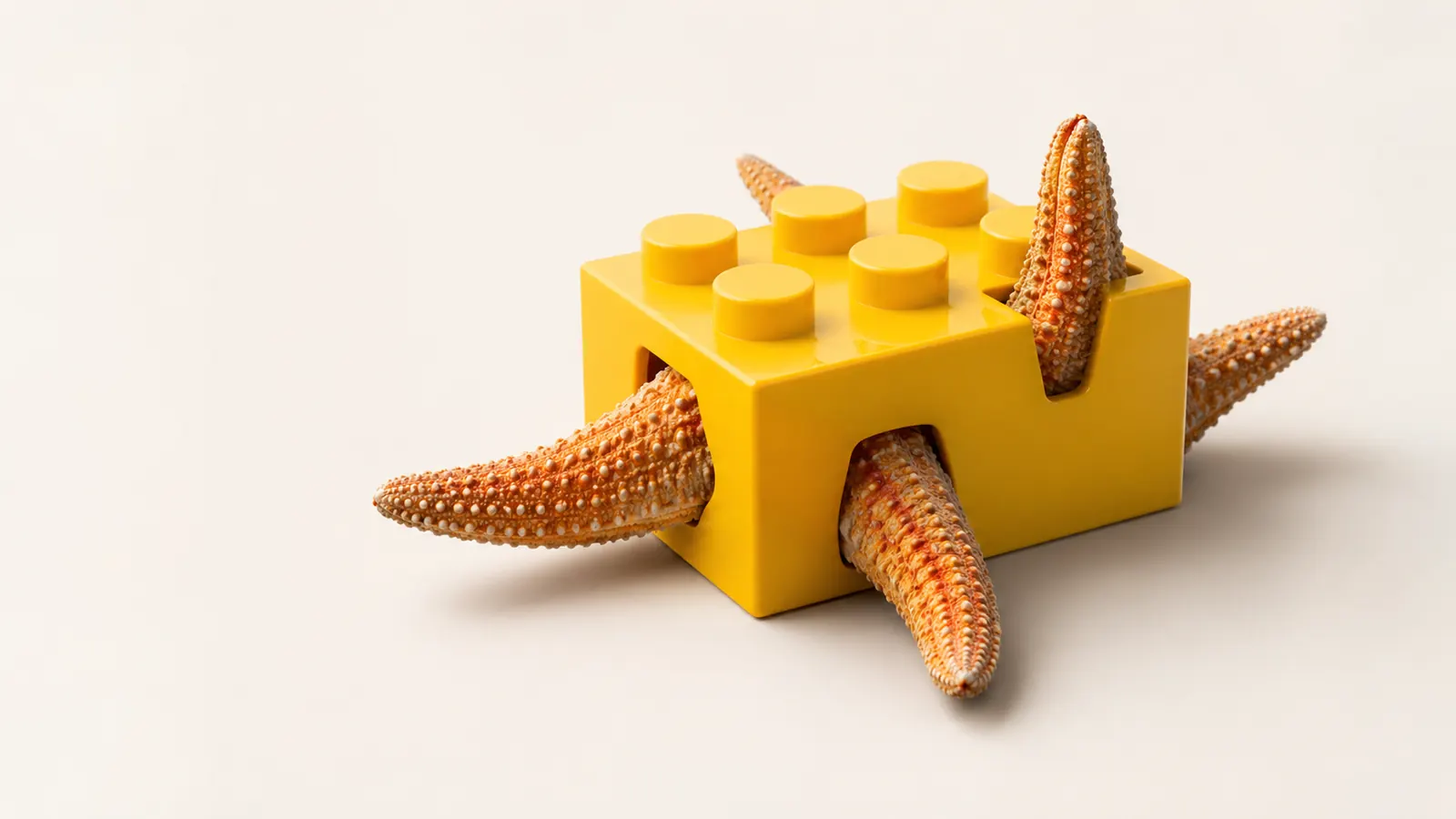 A Person Is Not Lego